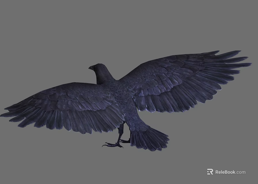 Flying Animal Black Bird with Outstretched Wings and Glossy Feathers in Display Pose 3d model 