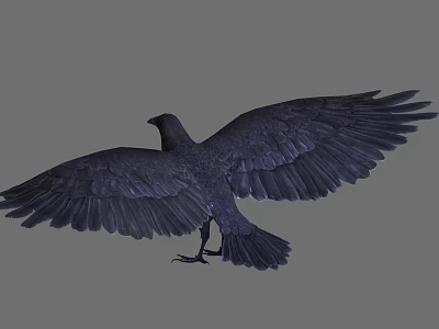 Crow Raven Black Crow Bird Crow Raven Black Crow Bird Crow Raven Black Crow Bird 3d model