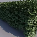 Lush Green Plant Wall As Vertical Garden With Dense Foliage And Natural Design