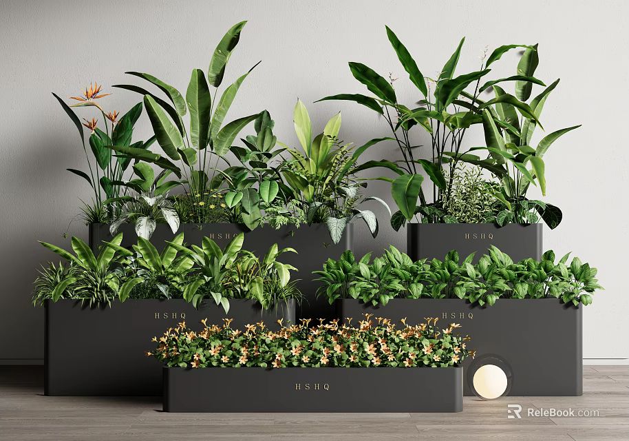Indoor Bonsai Potted Plants Collection With Various Green Plants And Stylish Planters 3d model 