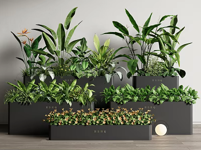 Indoor Bonsai Potted Plants Collection With Various Green Plants And Stylish Planters 3d model