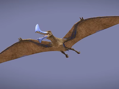 Prehistoric Pterosaur Flying With Brown Wings And Blue Accents In The Sky 3d model
