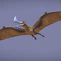 Prehistoric Pterosaur Flying With Brown Wings And Blue Accents In The Sky