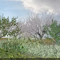Flowering Green Trees in a Serene Garden with Pond Water Lilies Grass Cloudy Sky