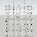 Butterfly And Insect Specimens Arranged In Multi Layer Transparent Display Case