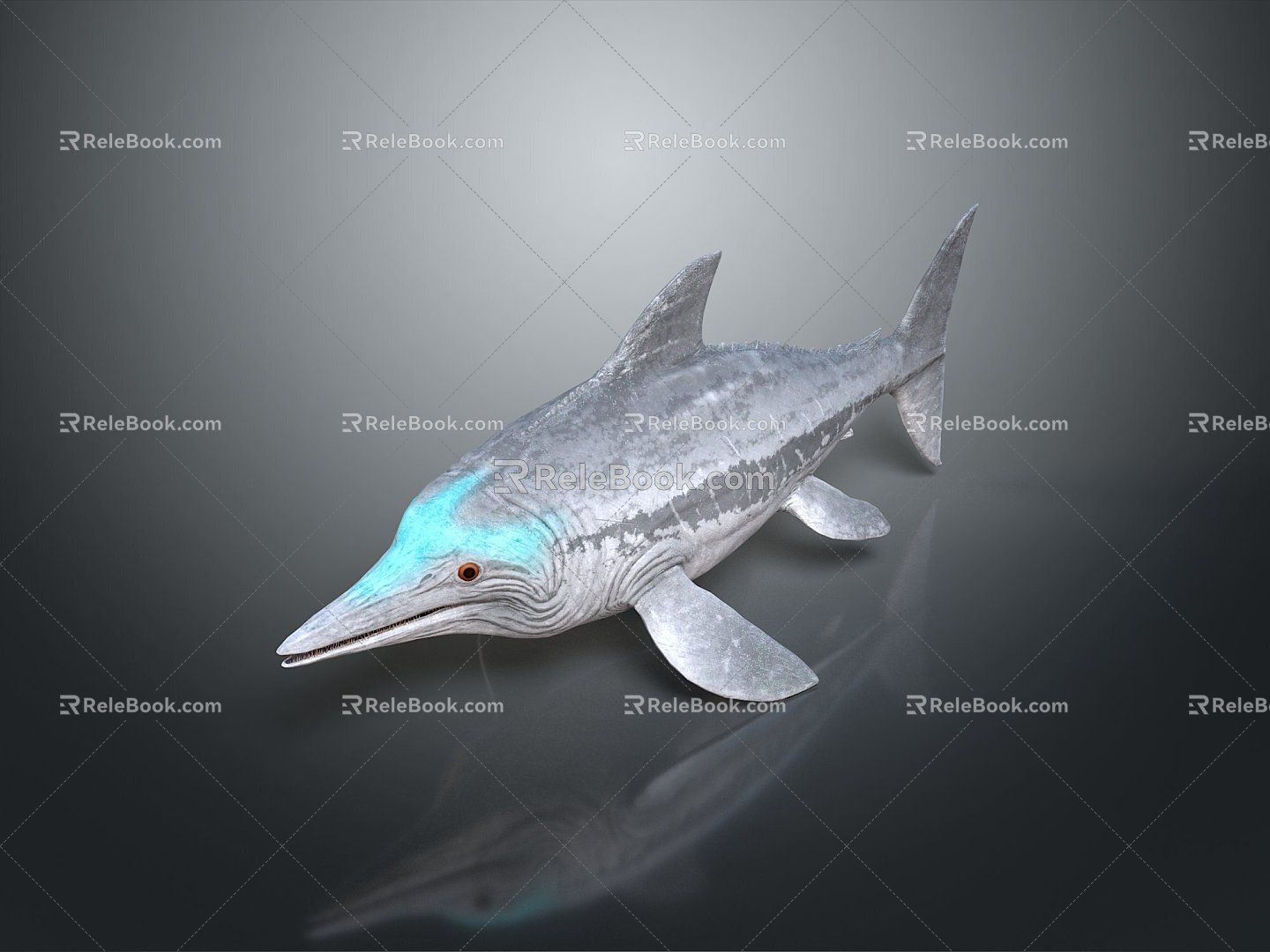 shark great white shark whale shark hammerhead shark tiger head shark man-eating shark blue shark coral red coral white coral 3d model