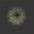 Fluffy Light Colored Plant with Red Slender Spikes and Green Base