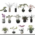 Various Bonsai and Potted Plants with Stylish Ceramic Pots for Home Decor