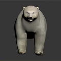 White Polar Bear 3D Model Standing On Black Background With Detailed Fur Texture