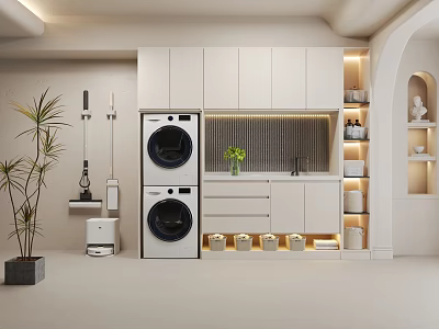 Modern Laundry Room Storage Cabinets With Washing Machines Cleaning Tools And Potted Plant 3d model