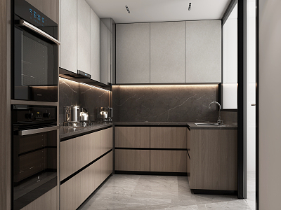 Modern Kitchen model