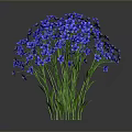 Vibrant Blue Flowering Plant With Small Blooms And Green Stems