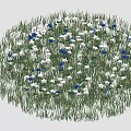 Round Flower Bed With White And Blue Blooms And Green Grass
