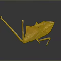 Detailed Orange Yellow Mantis With Long Legs On Dark Reflective Background