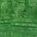 Outdoor Garden Landscape Featuring Natural Stratified Rock Layers And Small Green Plants