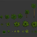 Various Sizes And Types Of Palm Trees With Small Green Plants Arrangement