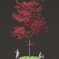 Vibrant Red Leaf Tree With White Human Sculpture Standing Underneath 3d model