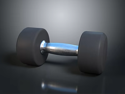 Black Weight Plates Dumbbell With Silver Handle On Black Reflective Surface 3d model