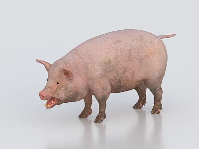 Pink Pig With Black Spots Standing On White Background And Open Mouth 3d model