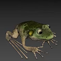 Green Frog Game Movie Character With Detailed Skin Texture And Natural Background