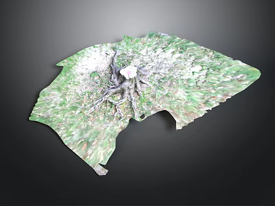 Leaf Shaped Green Object With Textured Root Like Structure And Central White Element 3d model