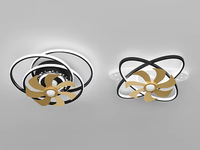 Modern Decorative Ceiling Light With Black White Circular Rings And Golden Fan Shaped Design 3d model