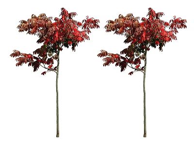 Modern Tree Big Tree 3d model Modern Tree Big Tree 3d model