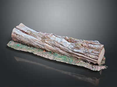 Natural Wooden Log with Green Moss and Stone Pebbles on Display Base 3d model