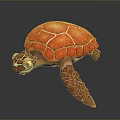 Vibrant Red Shelled Sea Turtle With Detailed Eyes And Brown Limbs In Illustration