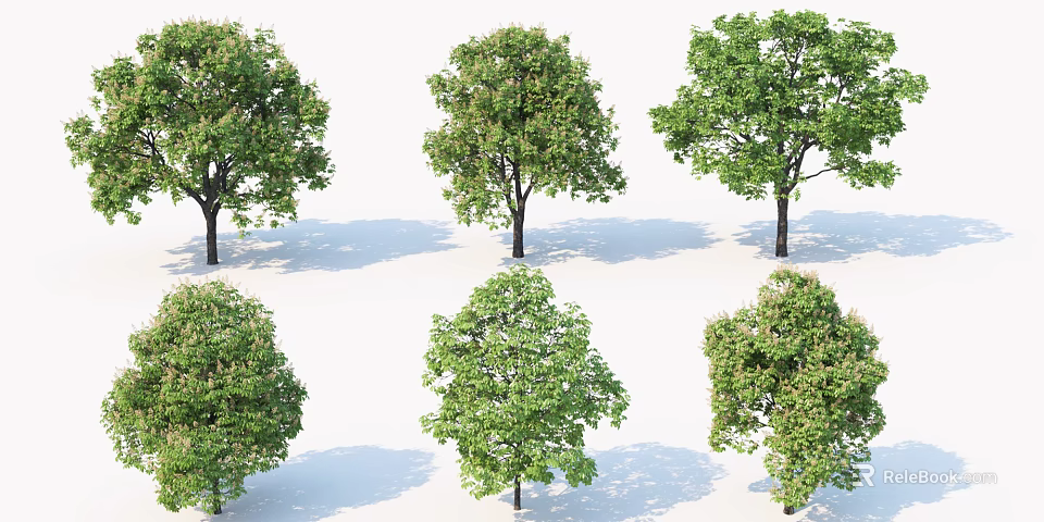 Various Arbor Trees With Lush Green Foliage And Different Crown Shapes 3d model