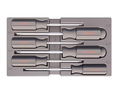 Professional Screwdriver Set With Precision Magnetic Tips Ergonomic Handles And Storage Case 3d model