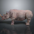 Side View Standing Rhinoceros With Textured Skin On Gray Background And Reflective Floor