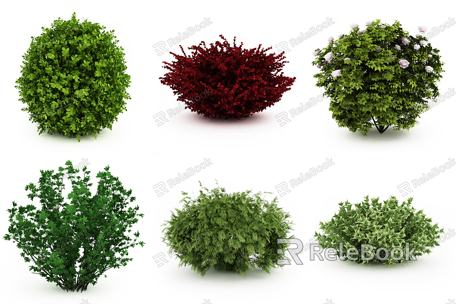 Modern shrubs model