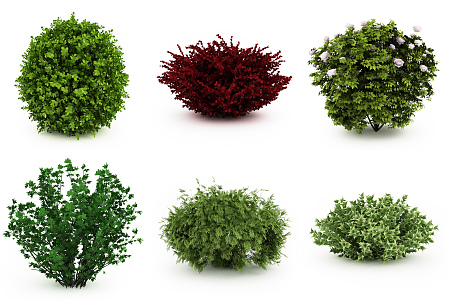 Modern shrubs 3d model