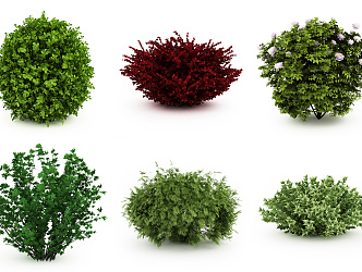 Modern shrubs 3d model