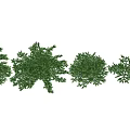 Modern balsam fir shrub hedgerow combination outdoor garden courtyard shrub low tree hedgerow plant combination tree balsam fir shrub hedgerow combination 3d model