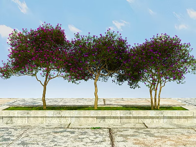 Three Purple Flowering Trees With Blue Sky White Clouds Stone Pavement And Green Grass 3d model