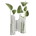 Transparent Glass Cylindrical Vases With Red Anthurium Flowers And Green Pink Leaves