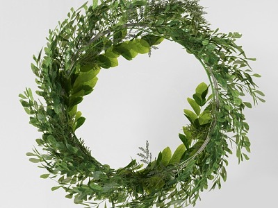 wreath flowers plants greenery model