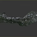 Wood Stone with Green Moss White Spots and Natural Texture on Black Background