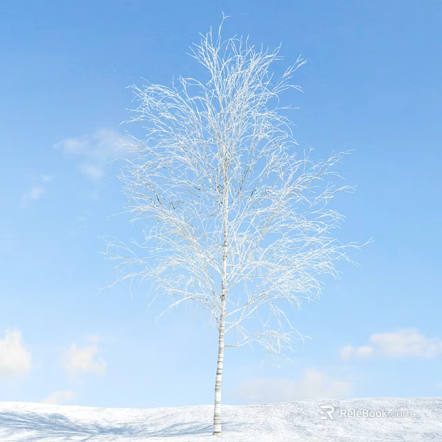 Leafless Birch Tree Standing Against Clear Blue Sky With White Clouds 3d model 