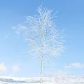 Leafless Birch Tree Standing Against Clear Blue Sky With White Clouds 3d model