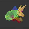 Vibrant Blue And Pink Tropical Fish With Colorful Fins Tail And Body