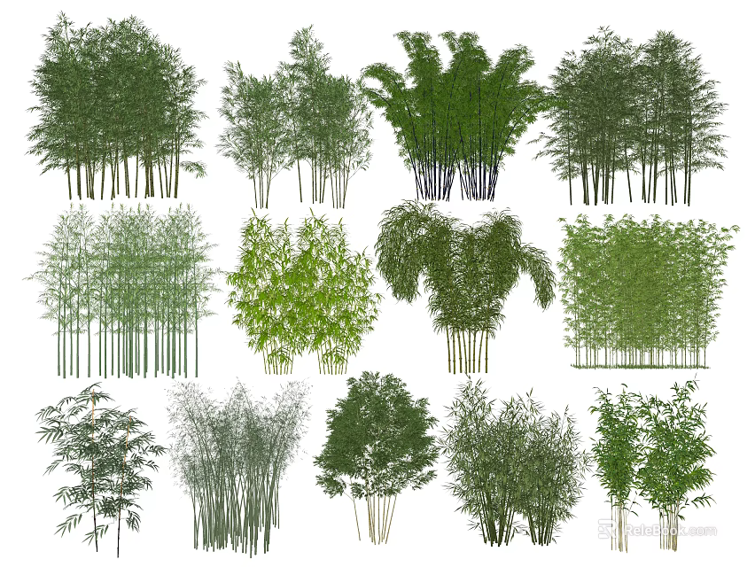 Diverse Bamboo Species Showcasing Green Foliage and Various Stem Structures 3d model 
