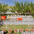 Rural Fruit Orchard Landscape With Stone Wall Wicker Baskets And Colorful Flowers