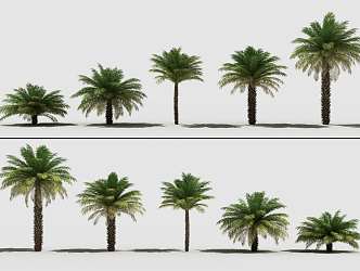 The Modern Tree 3d model