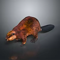 Realistic Beaver 3D Model With Brown Fur And Broad Black Tail On Gray Background 3d model