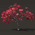Red Maple Tree With Vibrant Leaves And People Statues In Planter With Green Grass