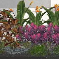Vibrant Plant Combination with Large Green Leaves Purple Foliage Orange Flowers and Small Grasses