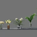 Various Vase And Flower Arrangement On Dark Table With Green Leaves And White Blooms